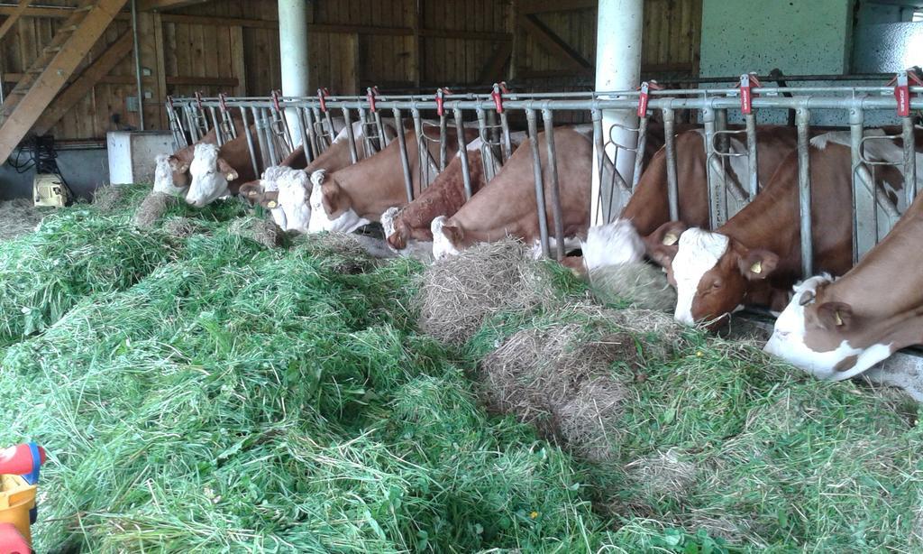 Ferienwohnung Grubinger Unterach am Attersee Esterno foto