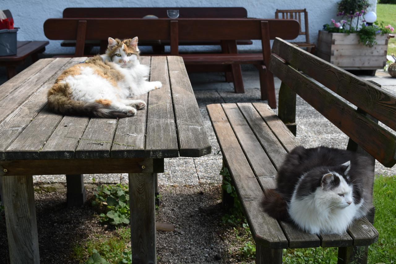Ferienwohnung Grubinger Unterach am Attersee Esterno foto